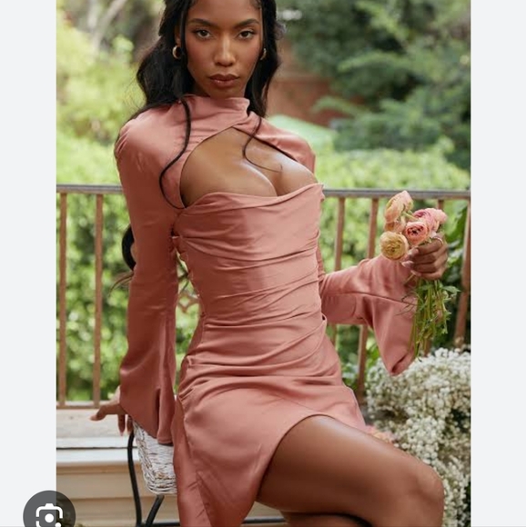 Flash sale!Toira rose draped mini corset dress - Picture 3 of 3